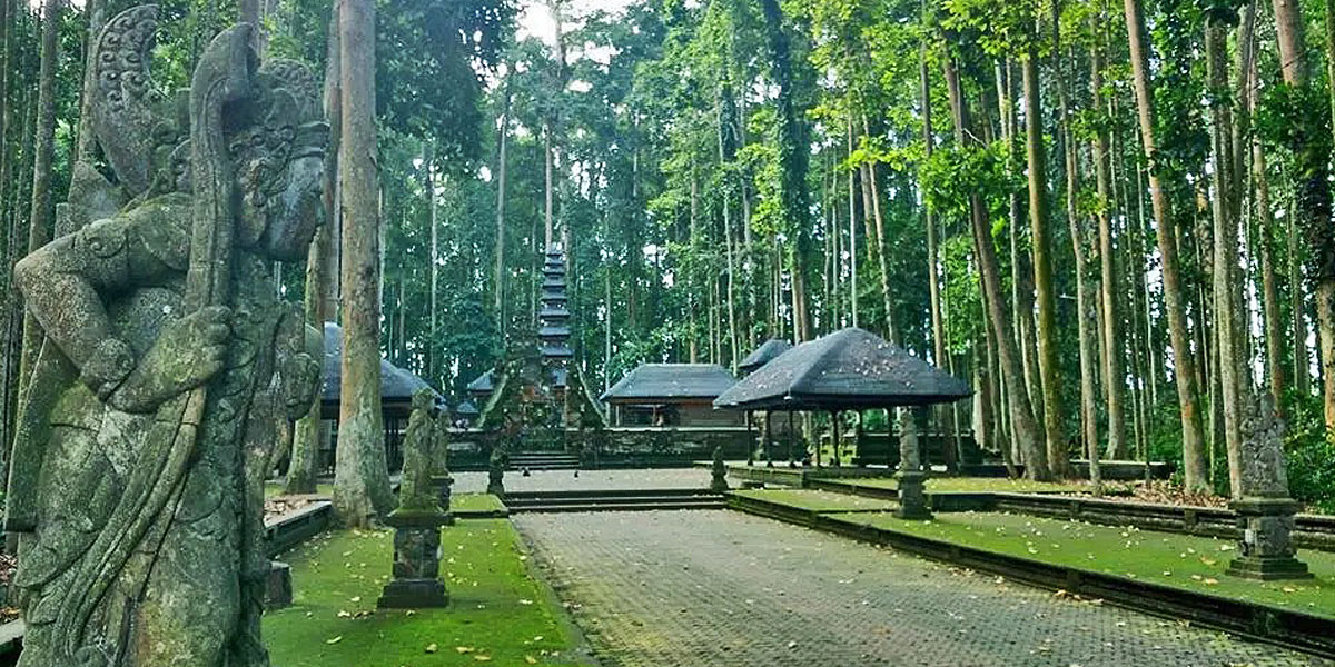 Monkey Forest