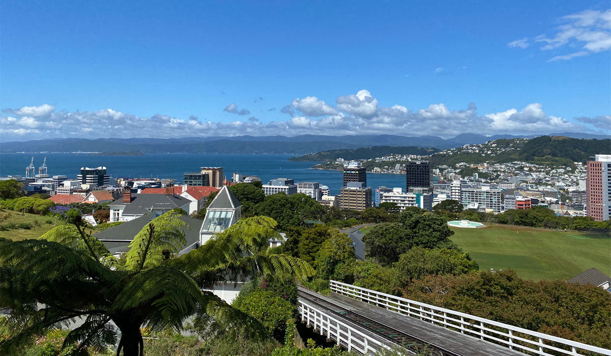 Wellington harbor
