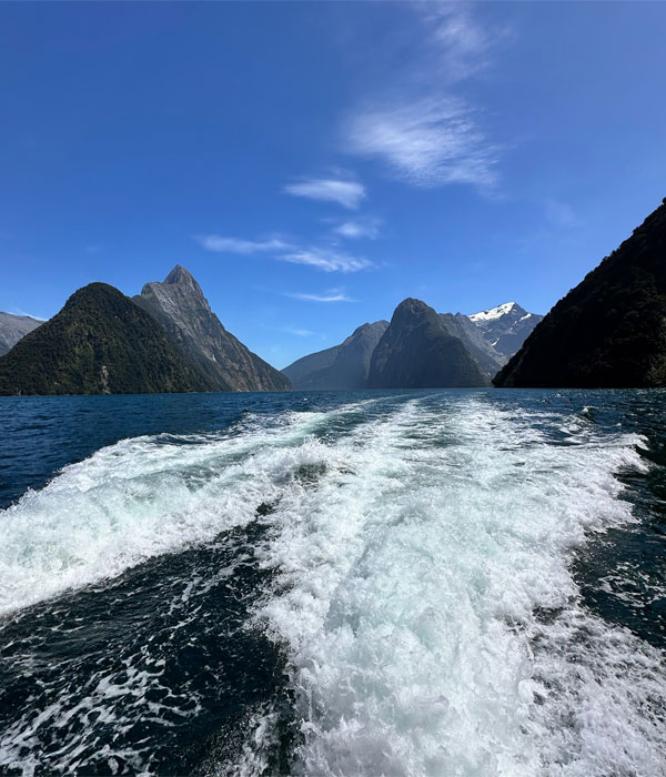 Cruise
